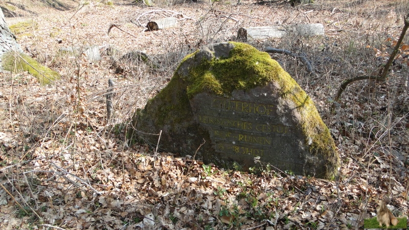 Ritterstein Nr. 274-2 Stüterhof Leiningisches Gestüt Hof-Ruinen 15. - 18. Jhdt..JPG - Ritterstein Nr.274 Stüterhof Leiningisches Gestüt Hof-Ruinen 15. - 18. Jhdt.